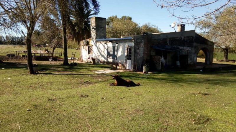 En Venta - Casa quinta con 7 Ha. de terreno - Acceso al Río - Entre Coronda y Desvío Arijón - Inmobiliaria Zucco - 2