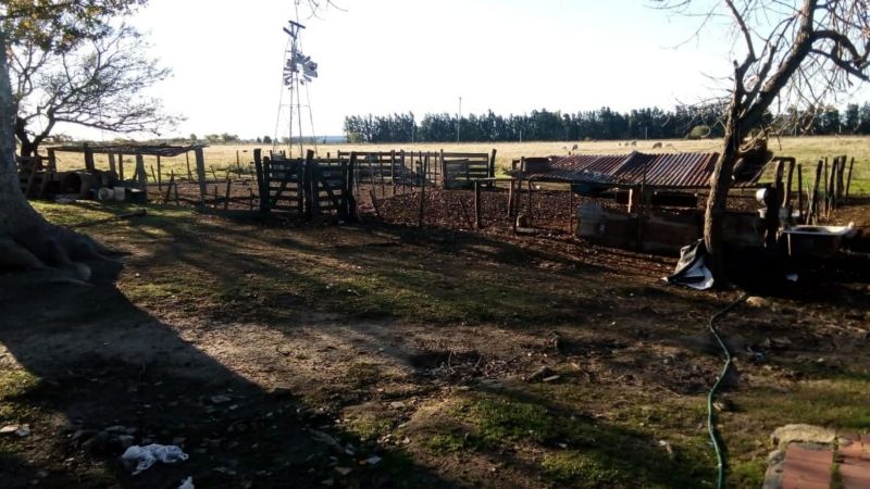 En Venta - Casa quinta con 7 Ha. de terreno - Acceso al Río - Entre Coronda y Desvío Arijón - Inmobiliaria Zucco - 7