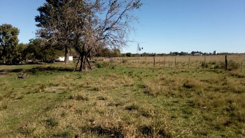 En Venta - Casa quinta con 7 Ha. de terreno - Acceso al Río - Entre Coronda y Desvío Arijón - Inmobiliaria Zucco - 5