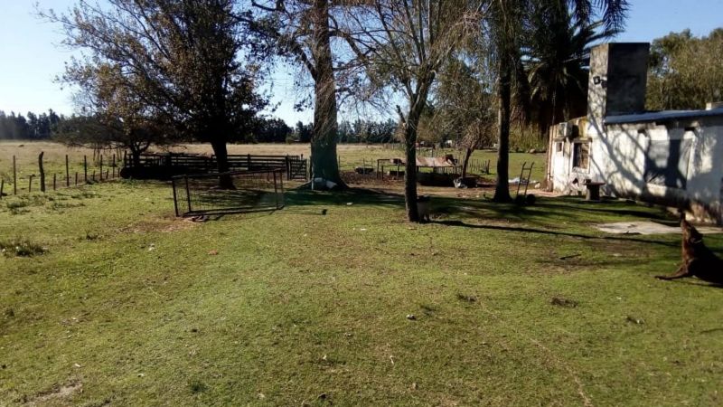 En Venta - Casa quinta con 7 Ha. de terreno - Acceso al Río - Entre Coronda y Desvío Arijón - Inmobiliaria Zucco - 3