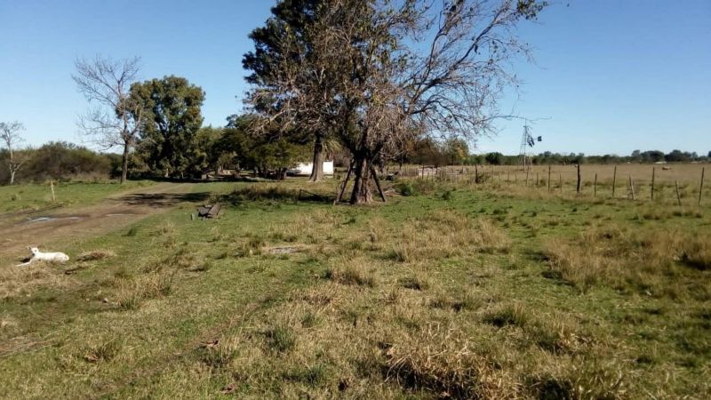 En Venta - Casa quinta con 7 Ha. de terreno - Acceso al Río - Entre Coronda y Desvío Arijón - Inmobiliaria Zucco - 33