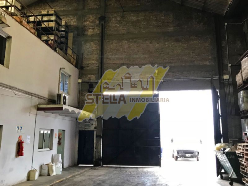 Av. Olimpo 2034 - Stella Inmobiliaria - 5