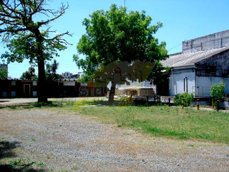 Juan Florio 2865 - Stella Inmobiliaria - 57