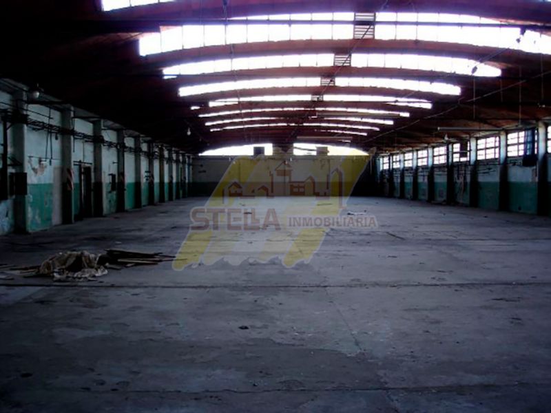Juan Florio 2865 - Stella Inmobiliaria - 64