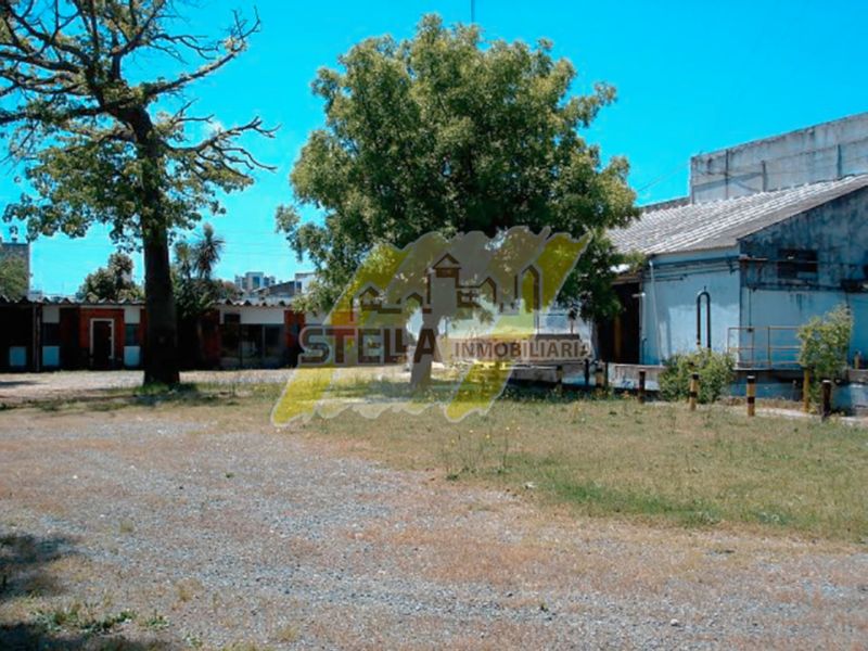 Juan Florio 2865 - Stella Inmobiliaria - 89