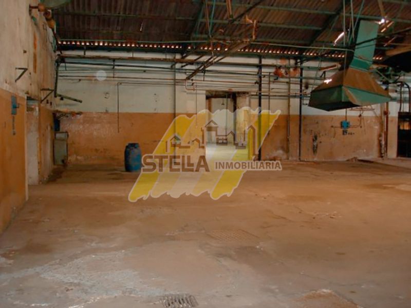 Juan Florio 2865 - Stella Inmobiliaria - 117