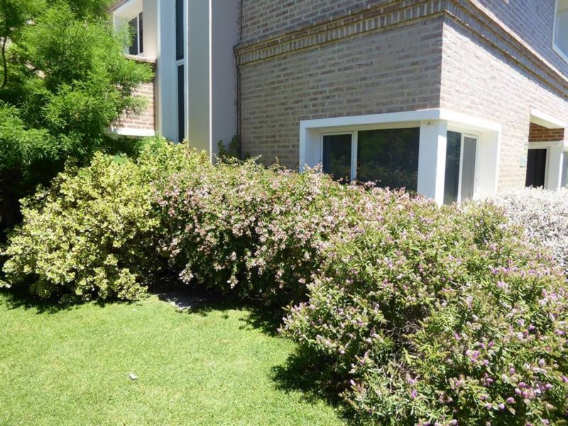 Pampa y Uspallata - Landriani Blenkmann Inmobiliaria — foto 10