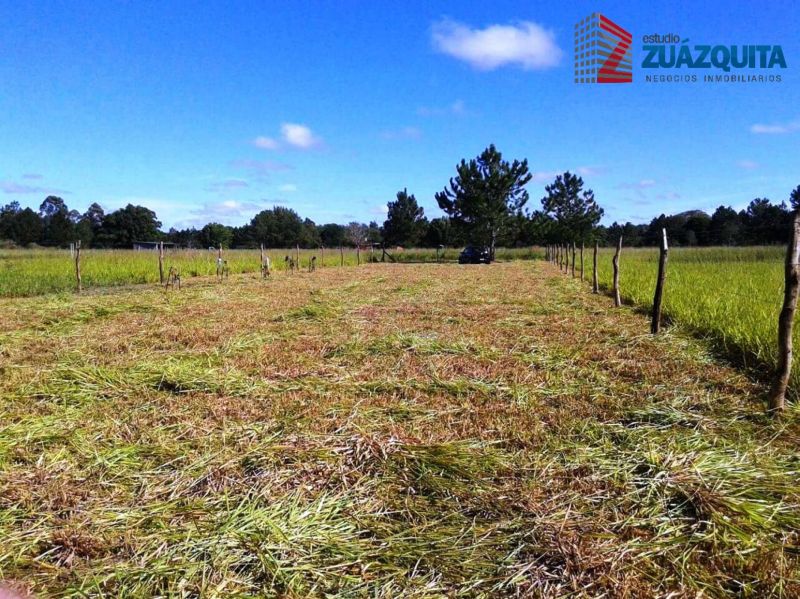 Santa Ana de los Guacaras - Estudio Zuazquita - 1