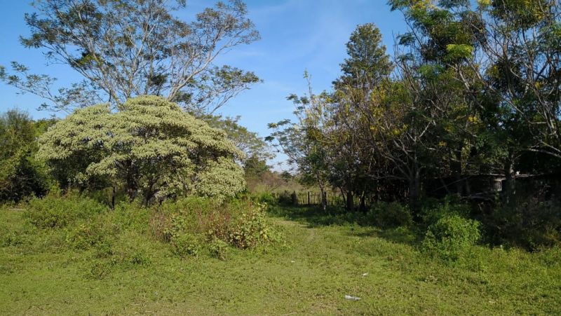 6 ha Detras Bº Golf Club - Estudio Zuazquita - 2