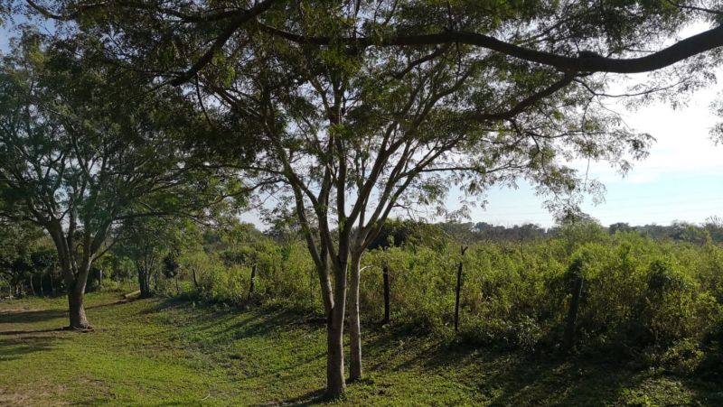 6 ha Detras Bº Golf Club - Estudio Zuazquita - 3