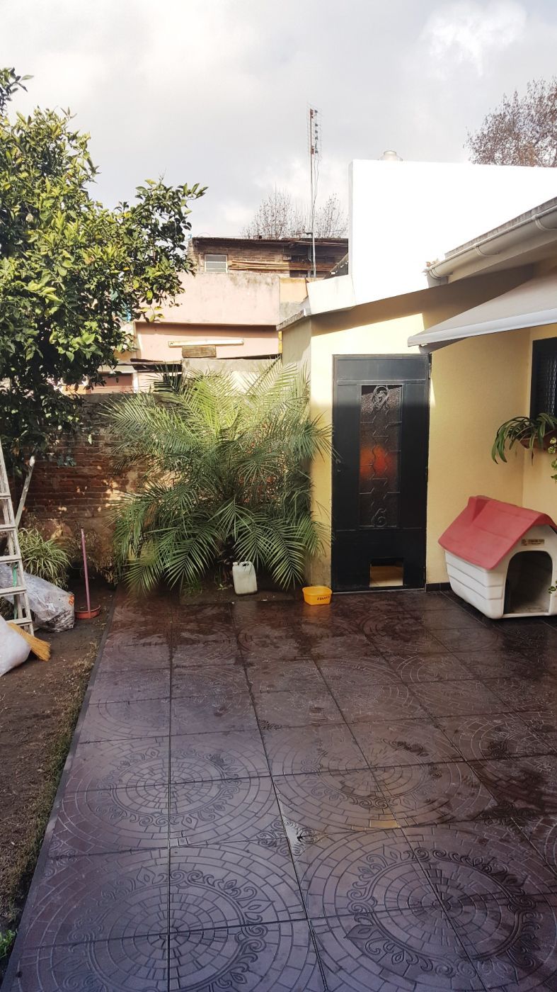 Castellanos 2000 - Zorila Constantino — foto 3