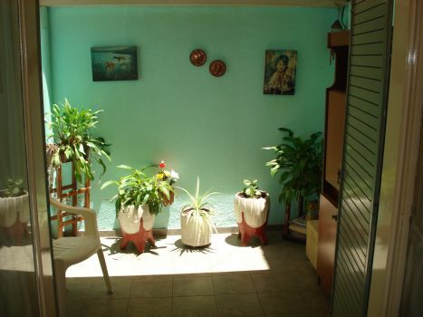 Maipu 2100 - Zorila Constantino — foto 7