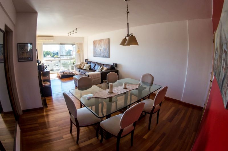Italia 1800 - Zorila Constantino — foto 5