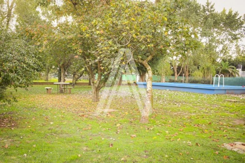Manuel Belgrano y Colectora R18 - MIRAGLIA PROPIEDADES — foto 12