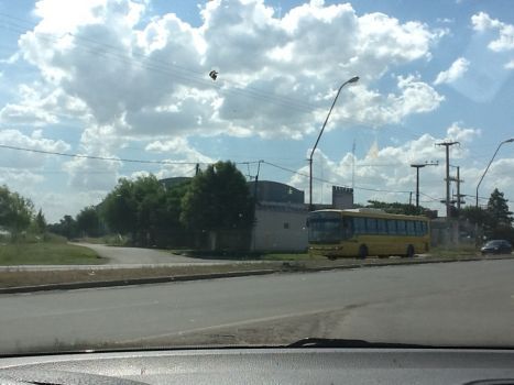 SAN MARTIN, AVENIDA (V Gdor. Galvez) 3300 - Banchio Propiedades — foto 7