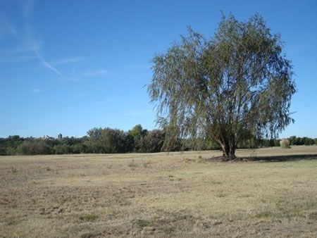 EL SOLAR DE VICTORIA 00 - Banchio Propiedades — foto 4