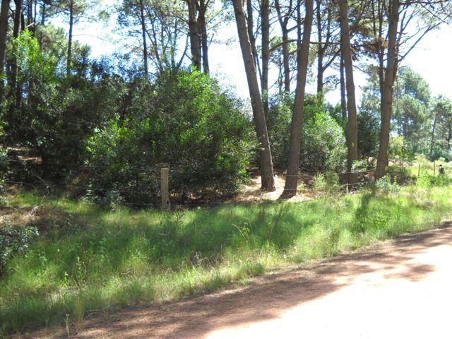 Punta del Este Urugu00 - Banchio Propiedades — foto 7