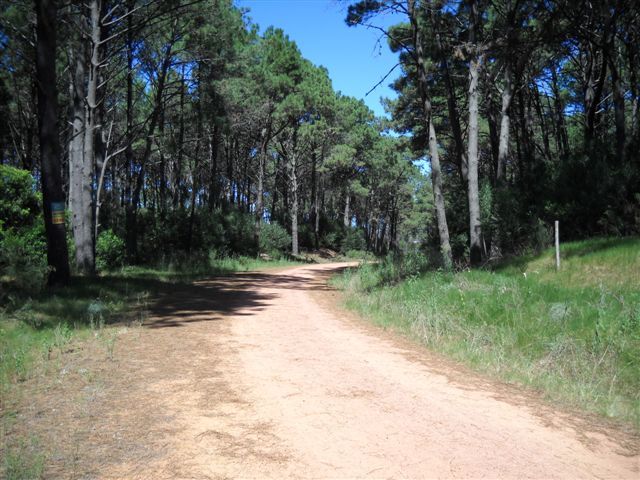 Punta del Este Urugu00 - Banchio Propiedades — foto 8