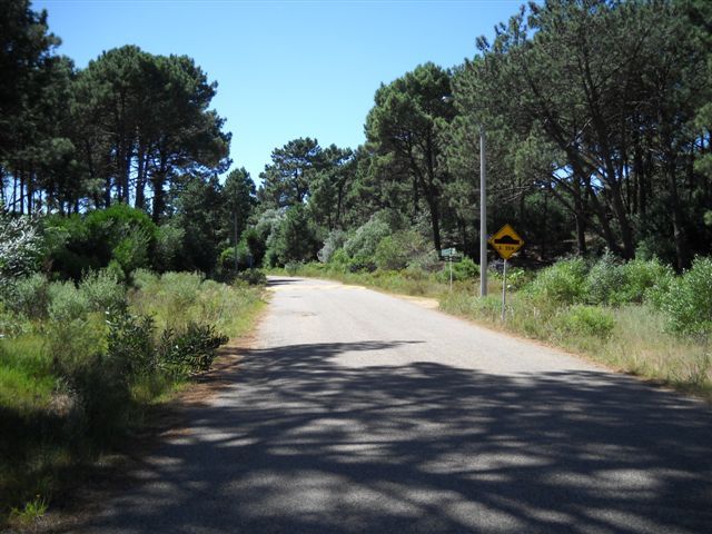 Punta del Este Urugu00 - Banchio Propiedades — foto 9