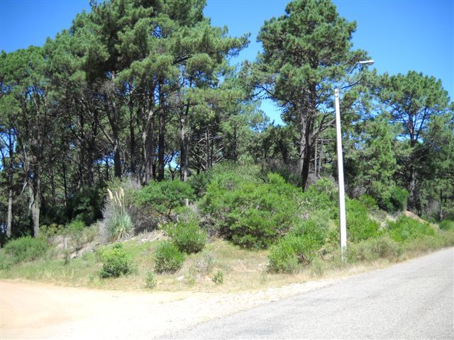 Punta del Este Urugu00 - Banchio Propiedades — foto 5