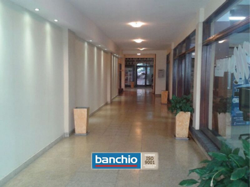CAFFERATA 600 - Banchio Propiedades — foto 11