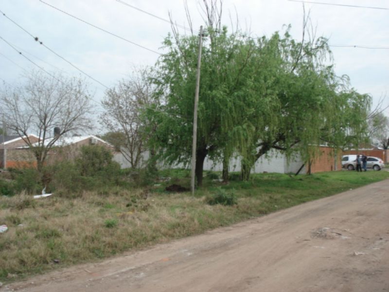 CALLE 1633 00 - Banchio Propiedades — foto 6