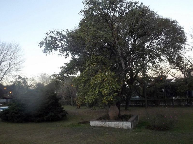 San Lorenzo - Acres Bienes Raíces — foto 9