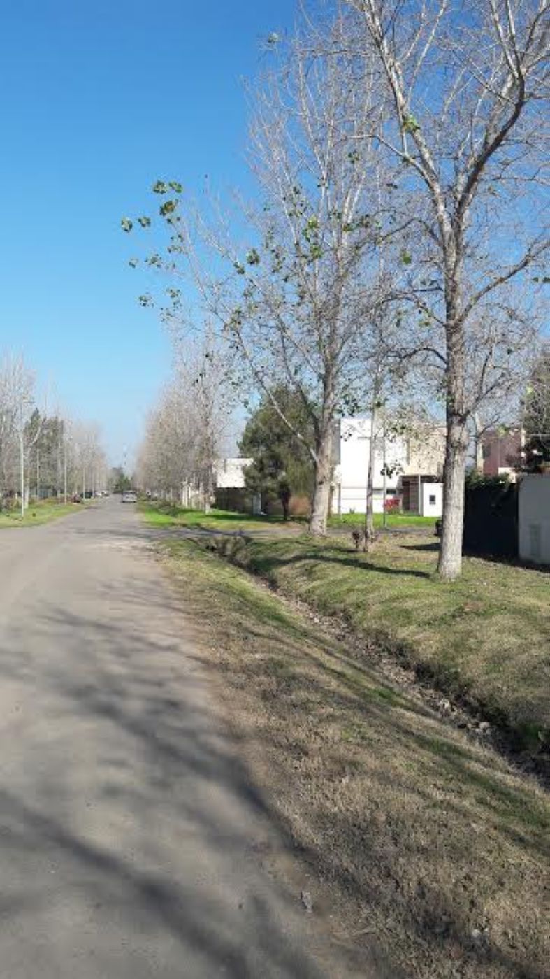 Aduana 1200 - Acec Propiedades