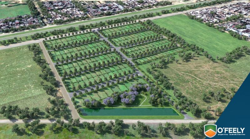Ruta Nacional 33 00 - O`Feely Negocios Inmobiliarios - 7