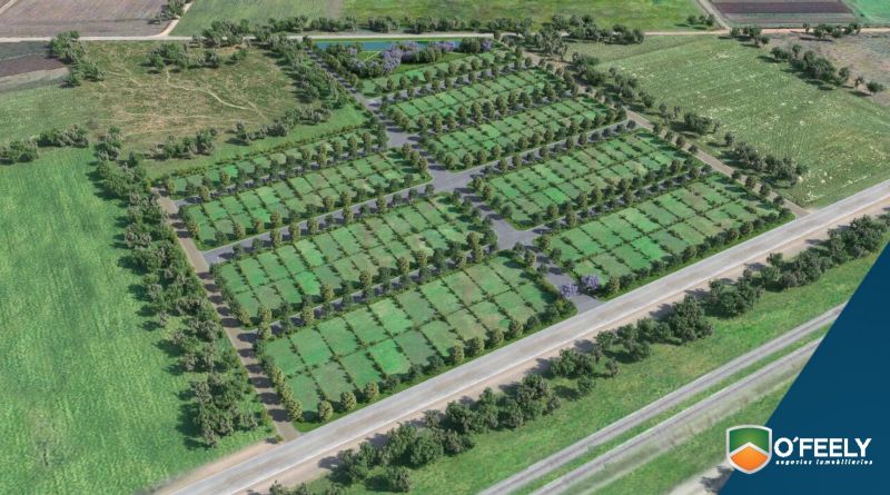 Ruta Nacional 33 00 - O`Feely Negocios Inmobiliarios - 8