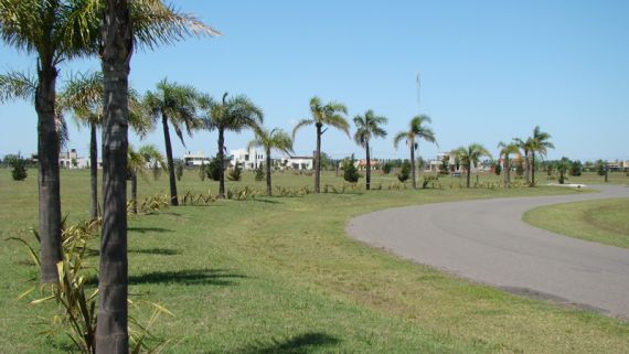 Au Cordoba - Rosario 00 - O`Feely Negocios Inmobiliarios - 10